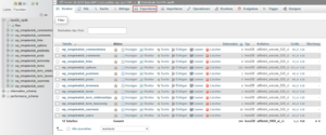 phpMyAdmin Export